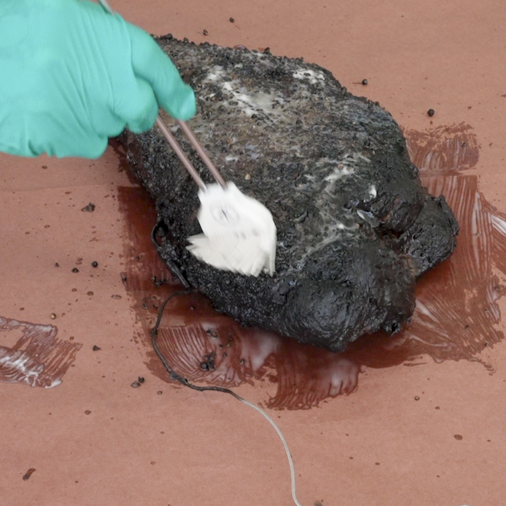 Brush the brisket with melted beef tallow.