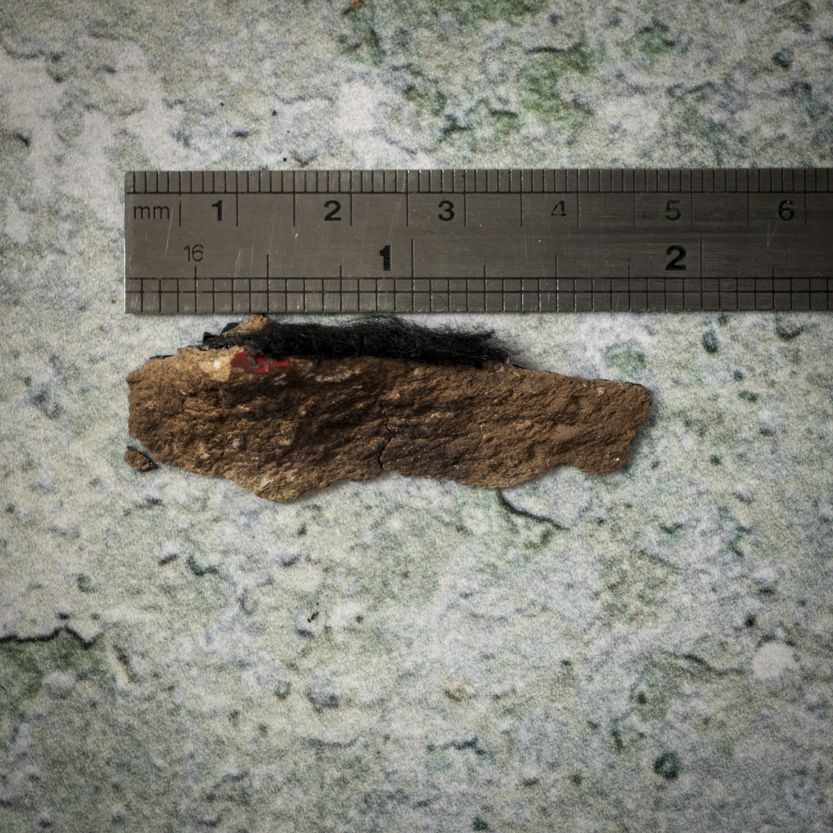 The chip was stuck to the gasket and measure almost two inches.