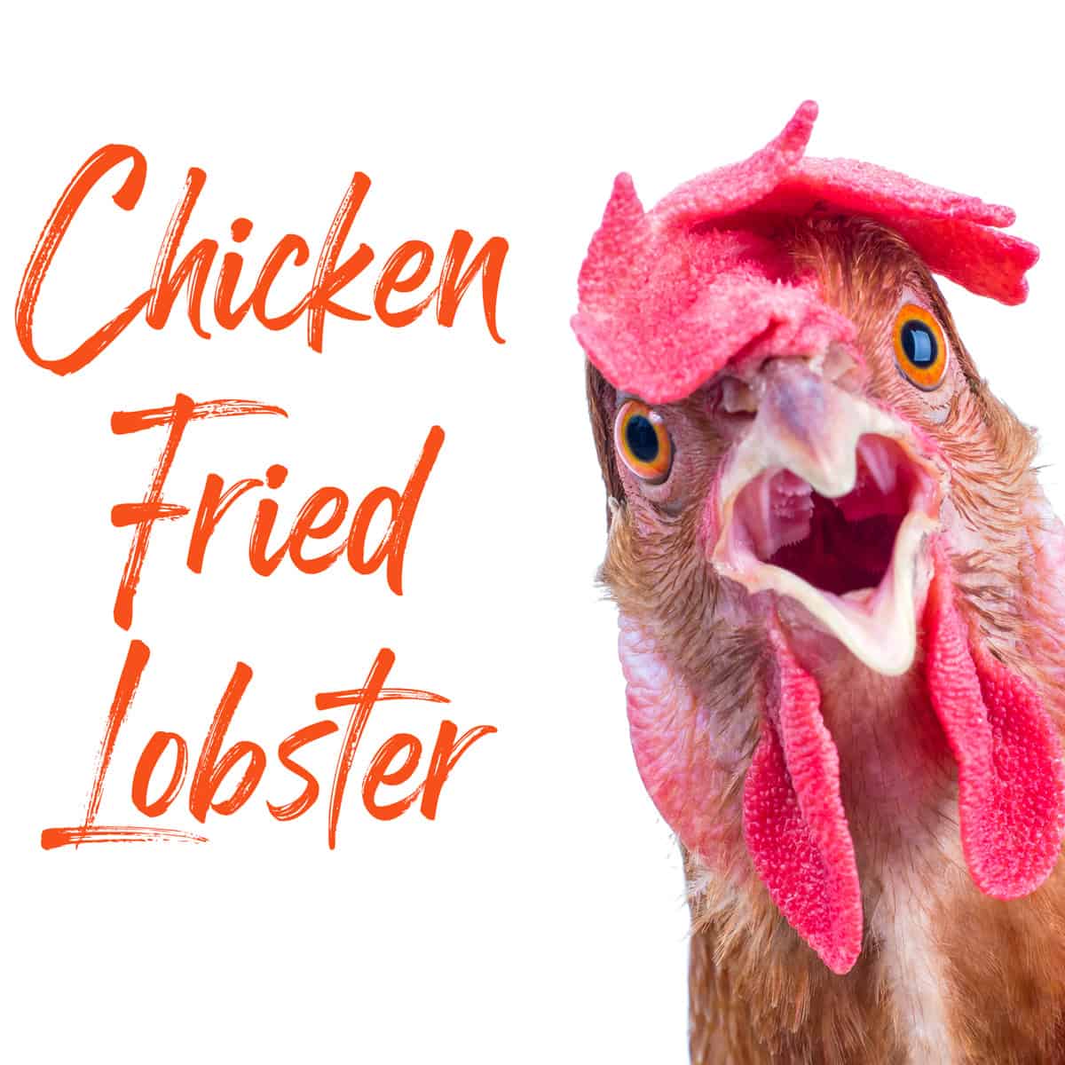 Chicken fried lobster banner.