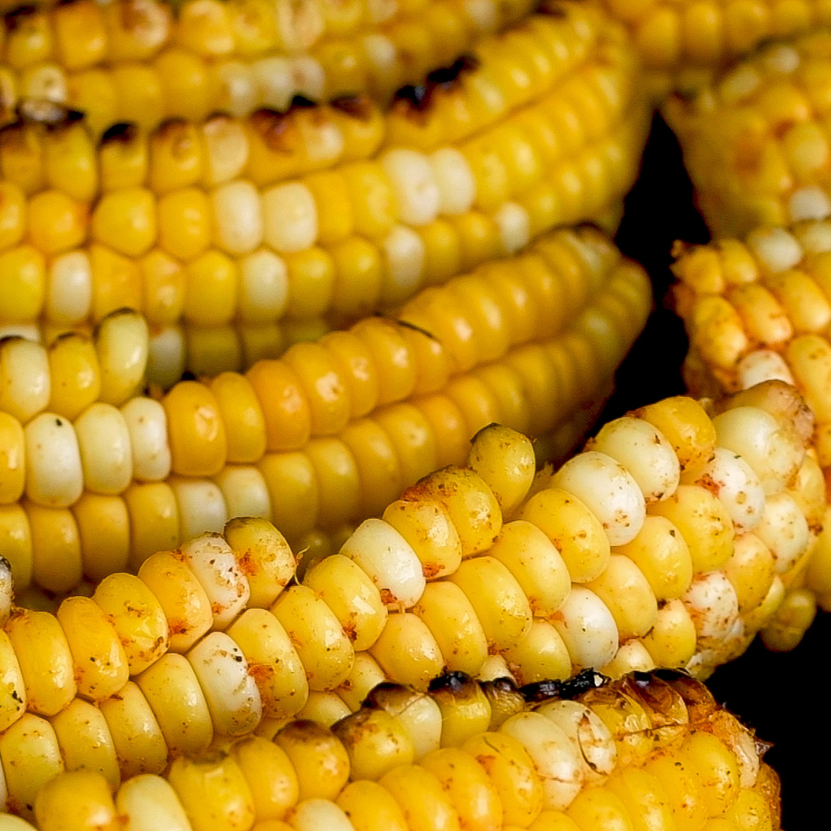 Grill the corn ribs.
