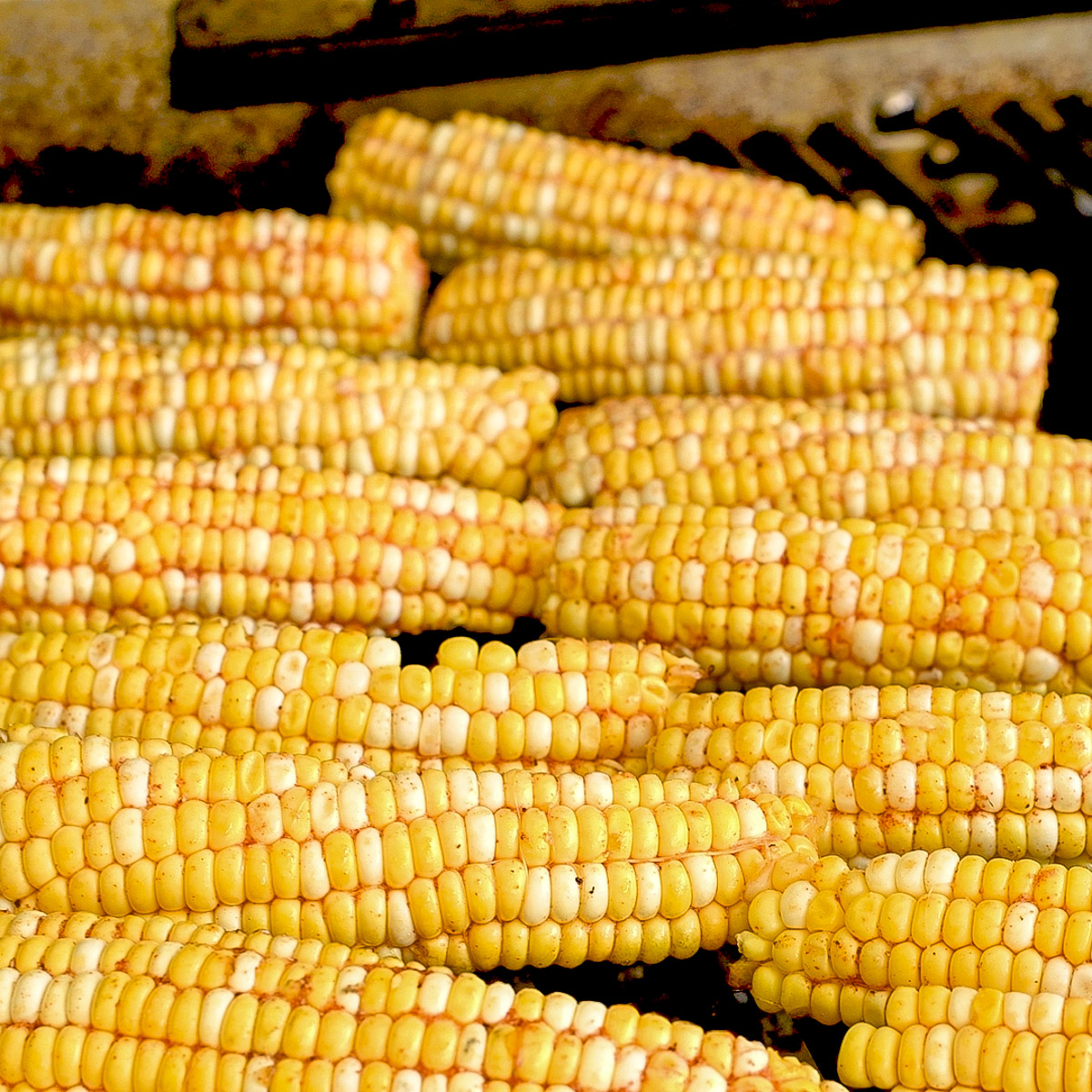 Grill the corn ribs.