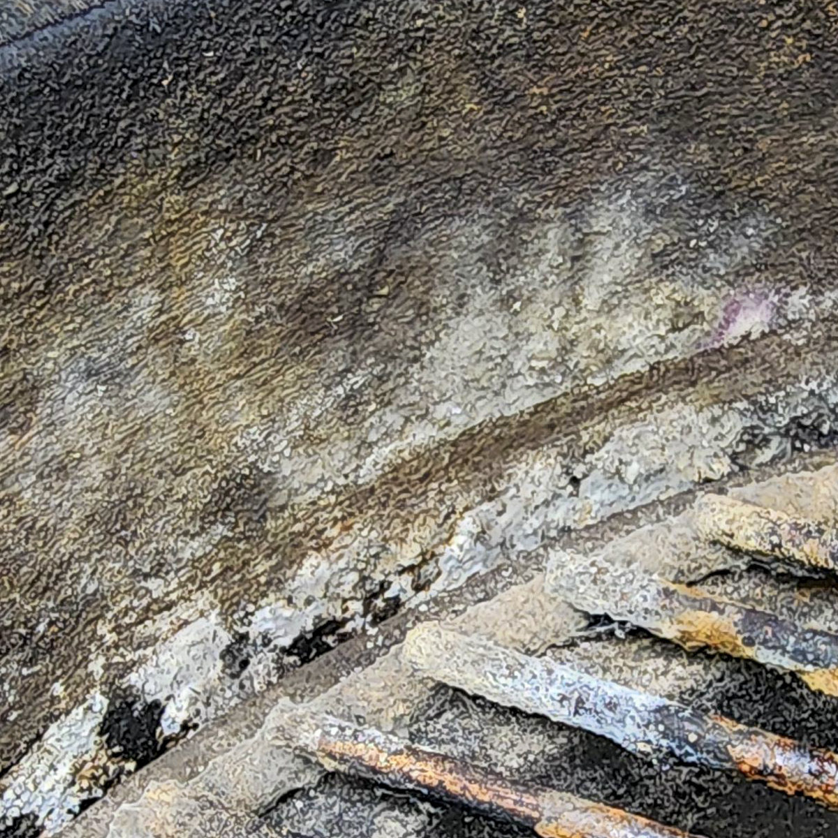 Mold growing on the ceramic wall inside a Kamado Joe.q