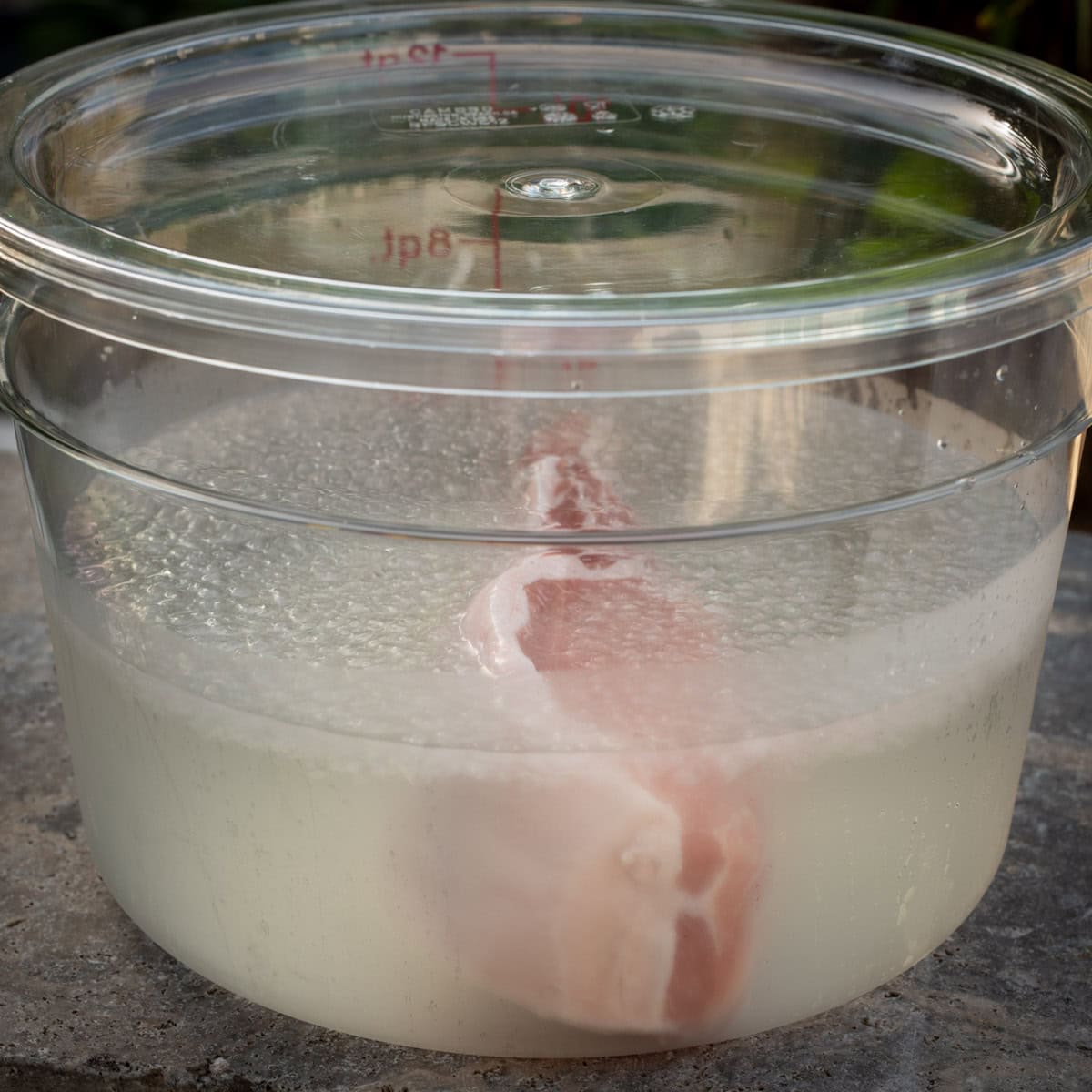 Pork chop in brine solution.