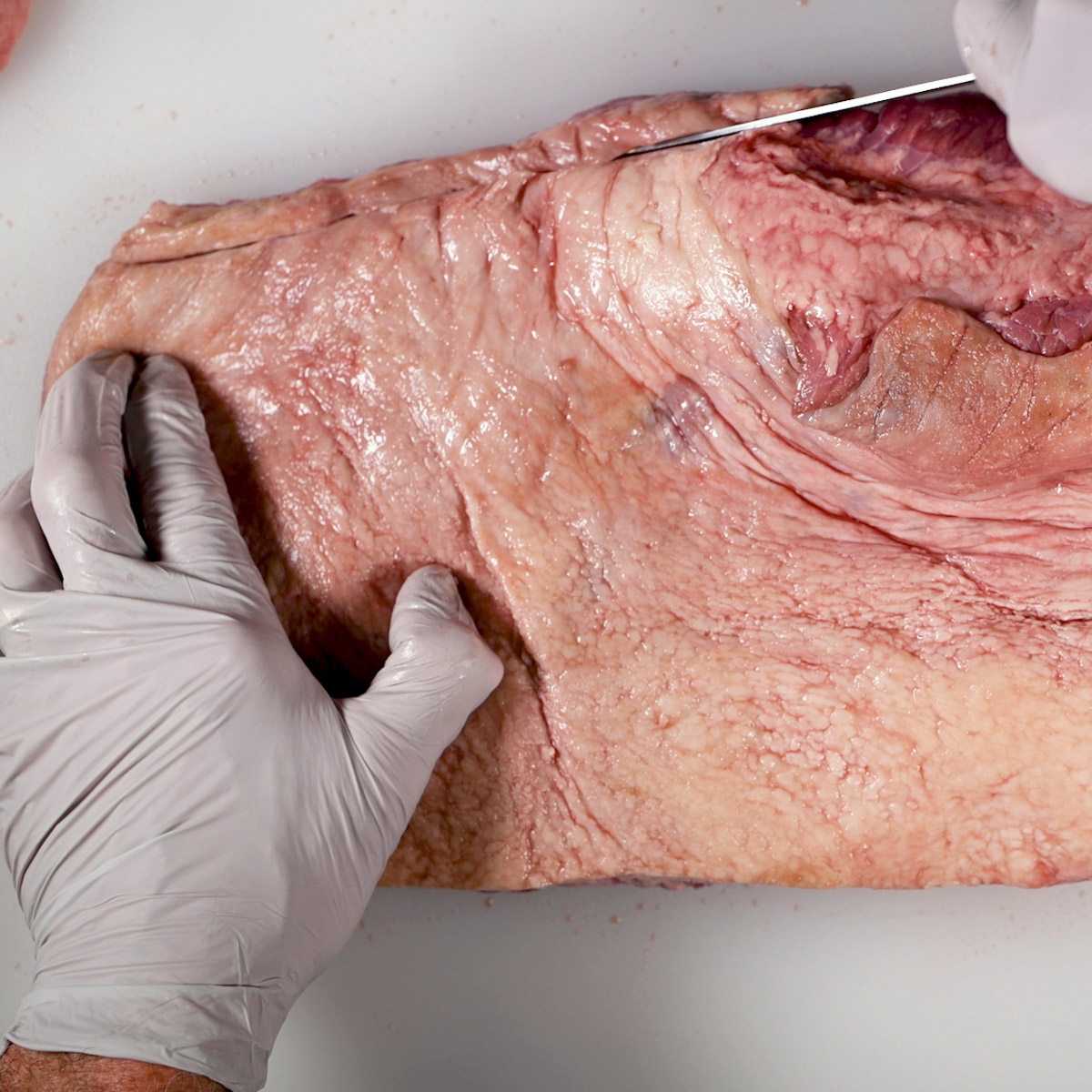 Trim the thick edge of the brisket.