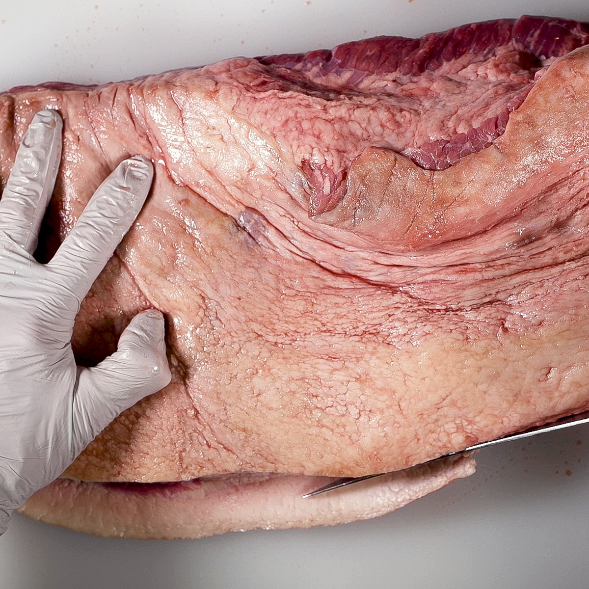 Trim the thin edge of the brisket.