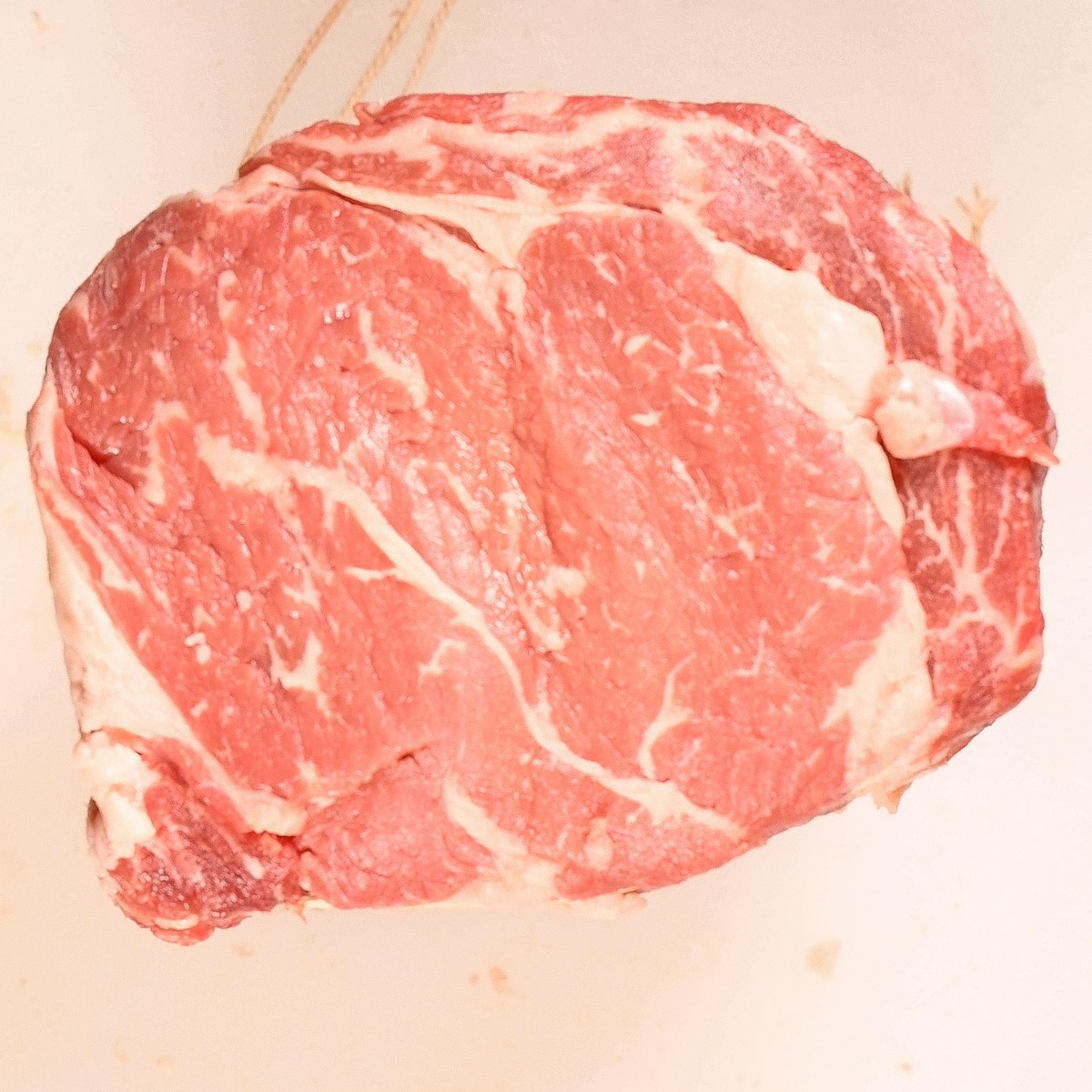 The roast is round after tying it up.