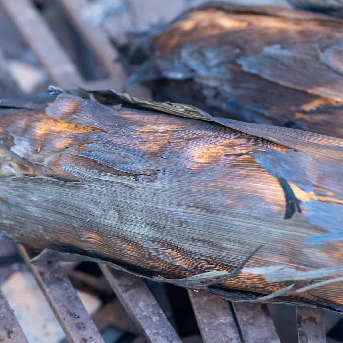 Roast the corn on a BBQ.