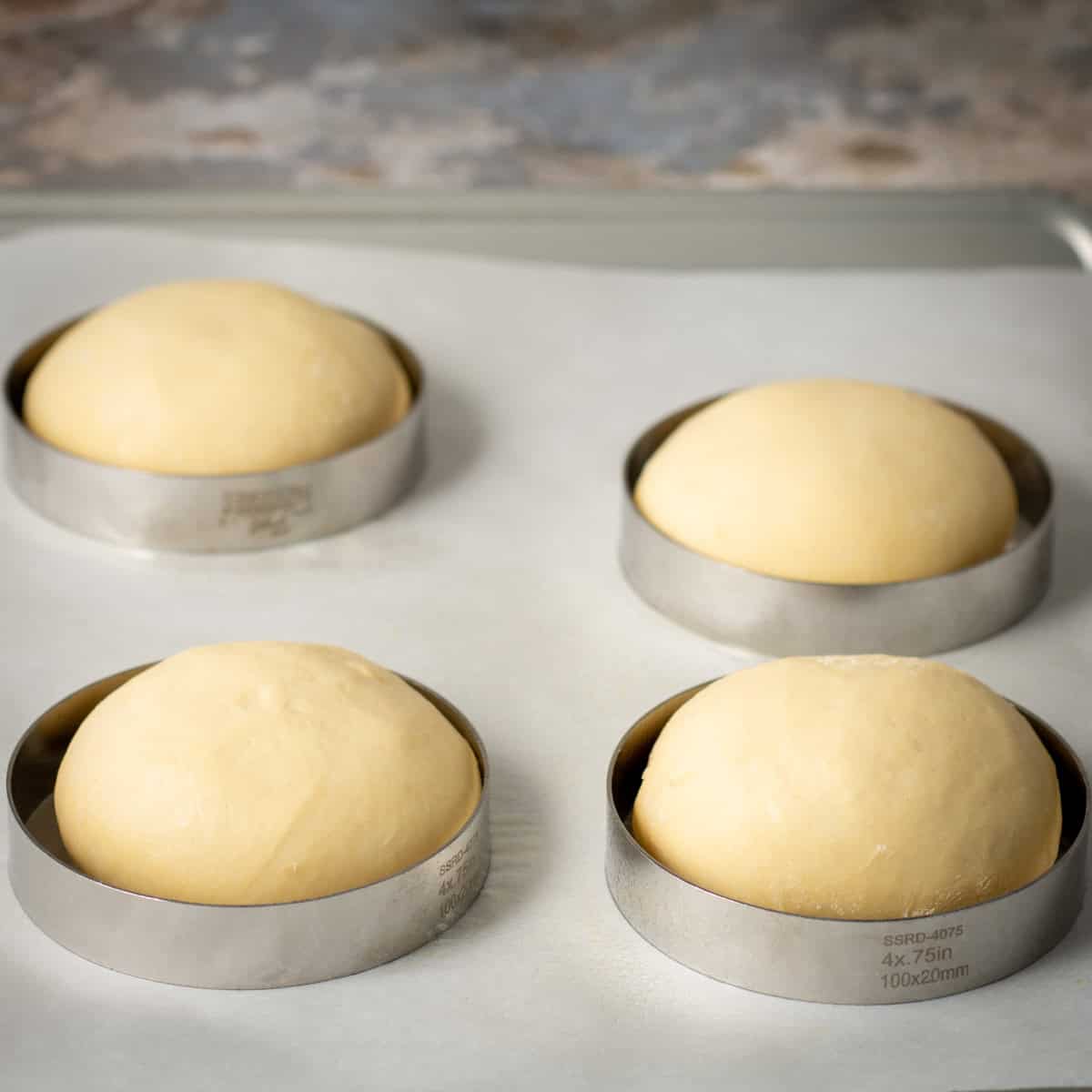 Tangzhong burger buns ready to bake.