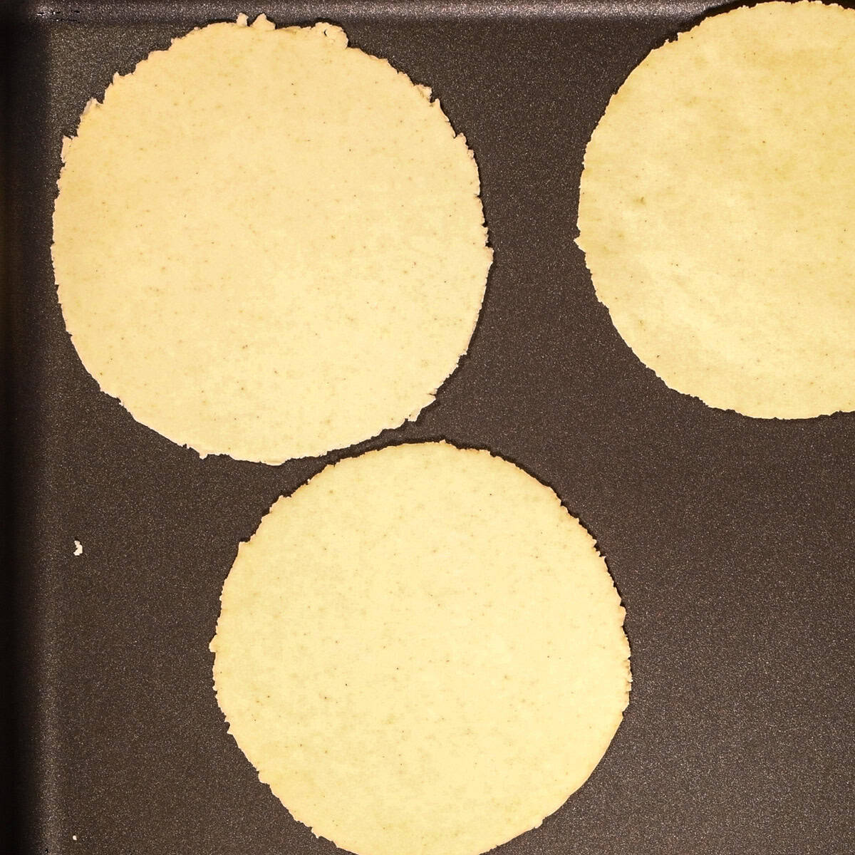 Homemade corn tortillas.