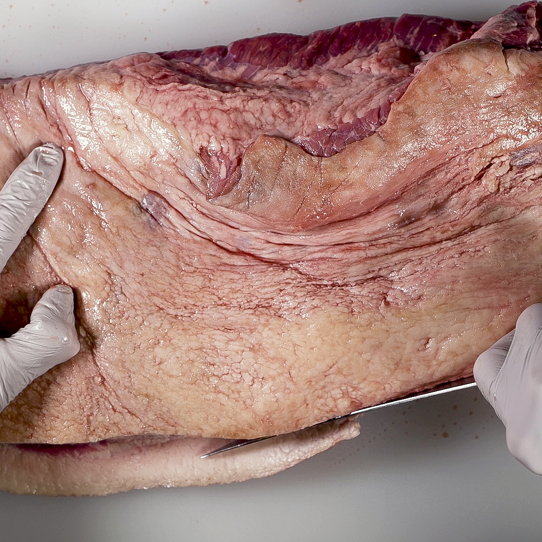 Trim the thin edge of the brisket.