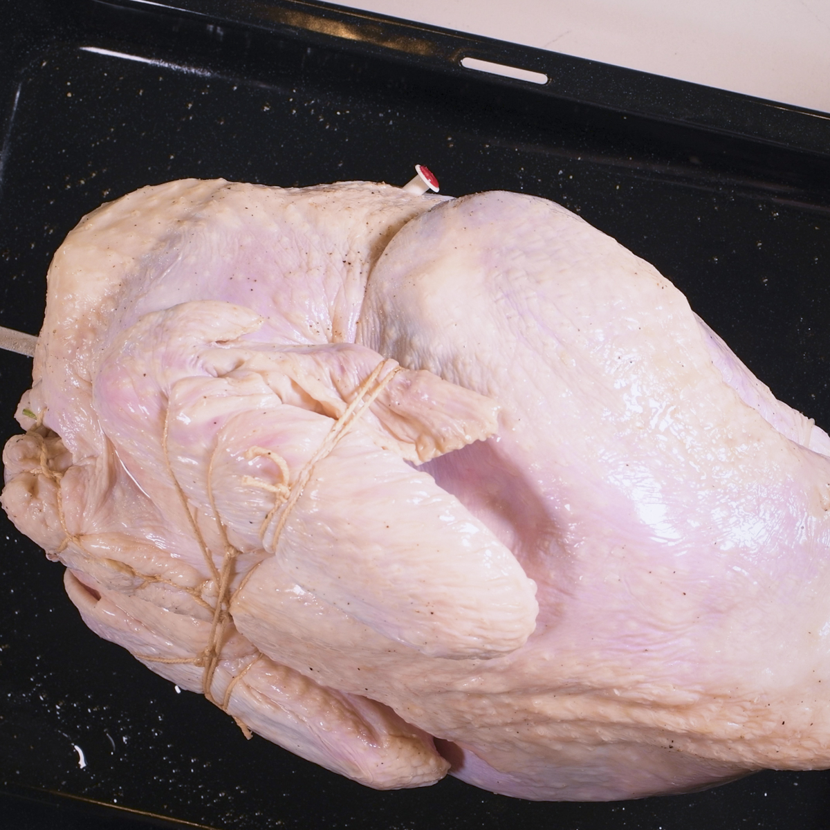 Trussed turkey on a spit.