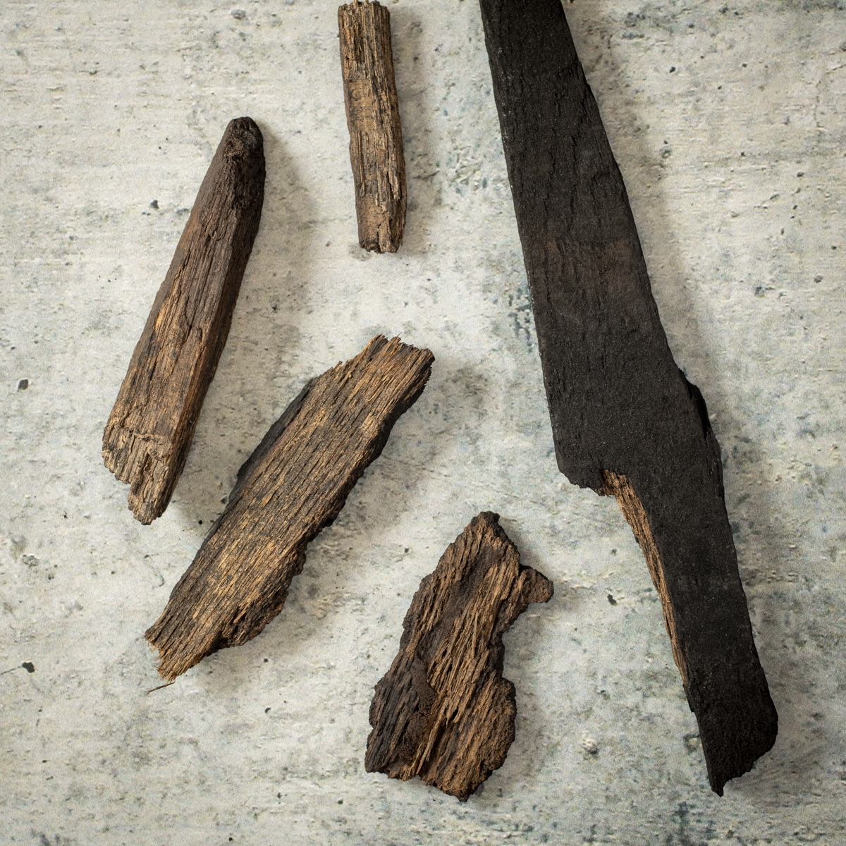 Undercarbonized wood